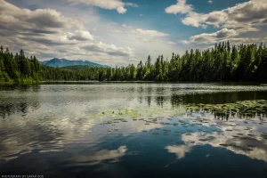 A summer day reflected in the water of Alvord Lake in northwest Montana.