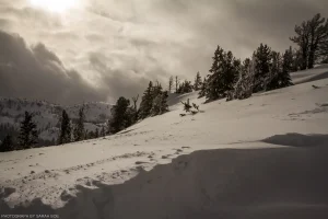A dramatic, dimly-exposed, high elevation winter landscape in the Payette region of Idaho.