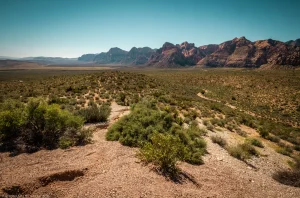 A wide angle landscape of the Mojave scrub at Red Rock Canyon National Conservation Area (near Las Vegas).
