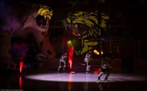 The Bismarck Bobcats skate out to fans’ cheers before a game against rival Minot.