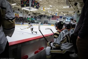 A game-in-progress view from the Bismarck Bobcats’ bench.