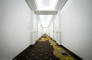 A seemingly endless hallway within an eerily quiet hotel in Redding, California.