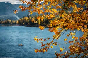 A man and his dog fishing on the Clark Fork River, framed by fiery leaves in the foreground and woodsmoke in the background. A cozy landscape and autumnal scene.