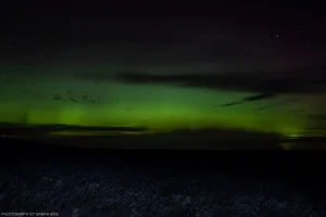 A ribbon of green aurora above an empty field in the high plains of North Dakota.