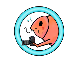 Happy Prawn Media