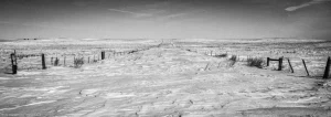 A black and white landscape, featuring a dreary section line in the high plains emptiness of rural Burleigh County, North Dakota.