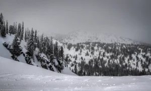 A moody, black and white winter landscape, featuring a foggy mountain ridge in the Payette region of Idaho.
