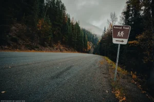 An invitation to recreation, pointing away from the shoulder of Highway 508 with no visible trailhead. Gloomy, dark, and autumnal, this shot is a horror fan’s favorite.