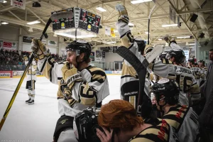 The Bismarck bench reacts to a 2nd period goal by Luke Roelofs.
