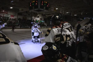 Bismarck skaters in the spotlight after a Luke Roelofs goal.
