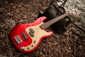Bass guitar belonging to musician Josh Clinger, then of Dodgy Mountain Men. Taken during the music video shoot for “Gone Gone Gone.”