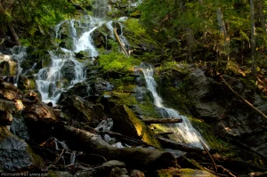 A small waterfall upslope of the Old Highway 2 Trail west of Libby, Montana.