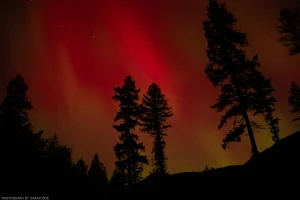 Rare red aurora sets the sky ablaze over the Kootenai National Forest in northwest Montana.