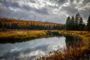 Sunshine dimly filters through low clouds on a crisp autumn day, illuminating the water along the Yaak River Scenic Loop.
