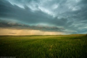 A shelf cloud over the green meadows of summertime high plains North Dakota.