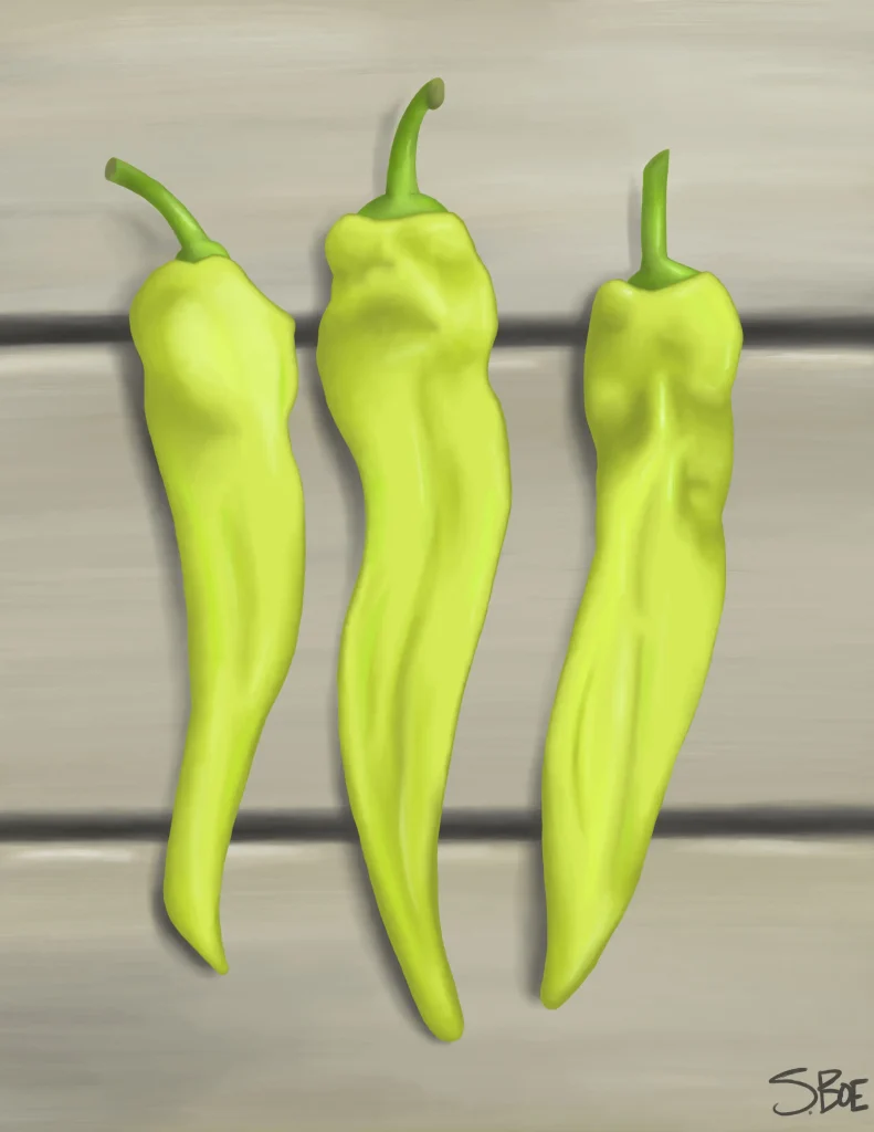 A simple still-life honoring a reliable, personal favorite pepper varietal.