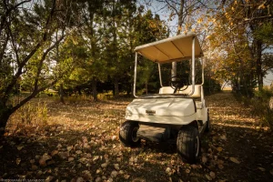 A golf cart, perfect for taking in seasonal scenery on a spacious property.