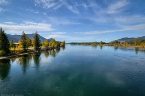 Yellowing trees border the banks of the teal-green Clark Fork River.